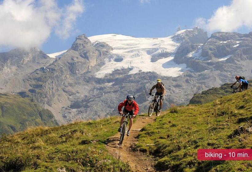 غرفة كومفورت فردية, Sonnwendhof Engelberg