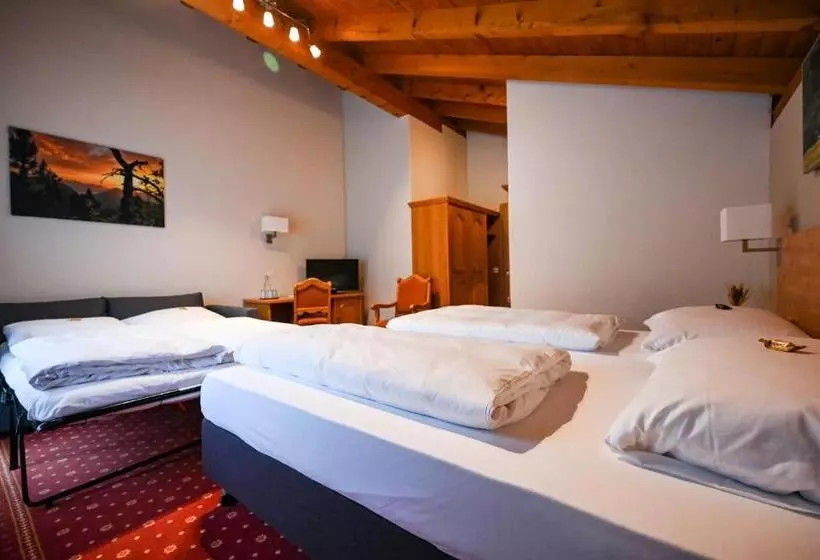 اتاق سوپریور با بالکن, Sonnwendhof Engelberg