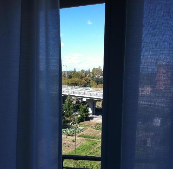 Economy Triple Room, Viking