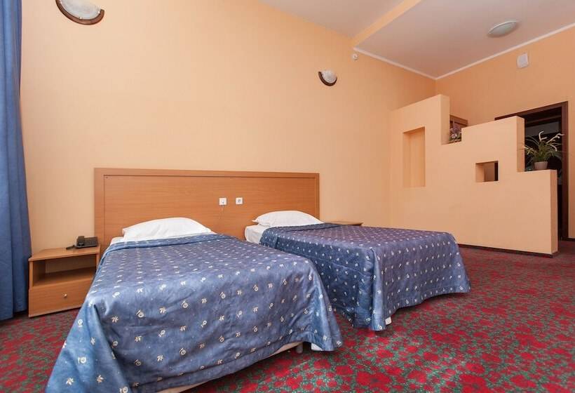 高级大房间, Regina Hotel On Baumana