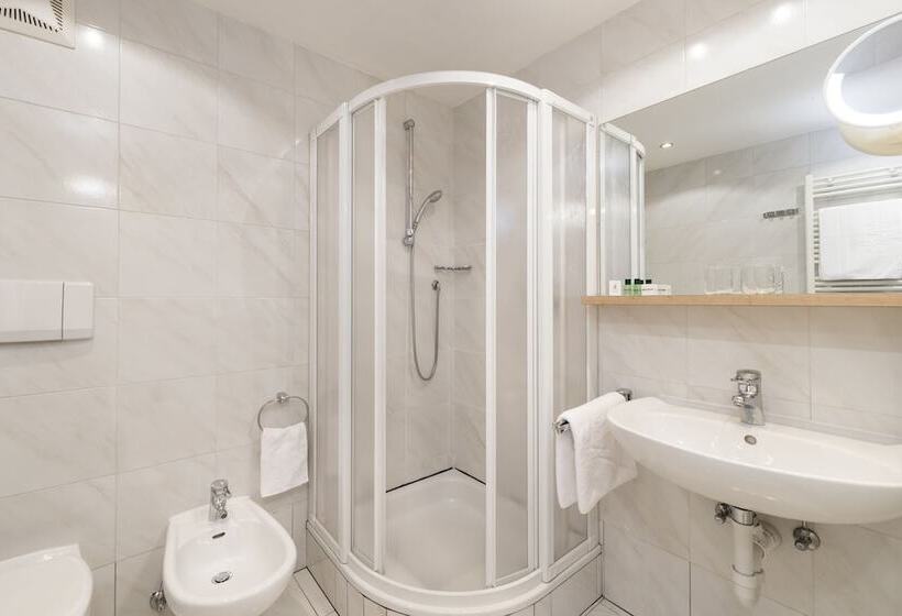 חדר סטנדרט יחיד, Residence Hotel Gasser