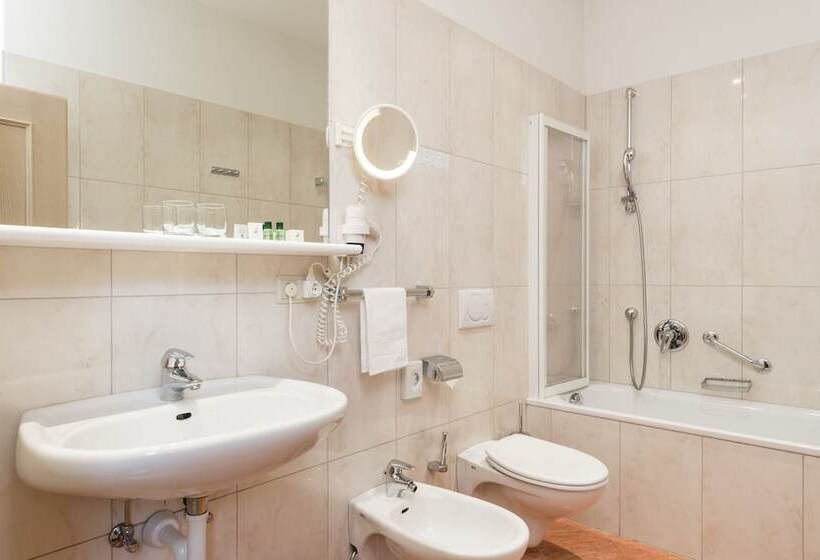 חדר סטנדרט יחיד, Residence Hotel Gasser