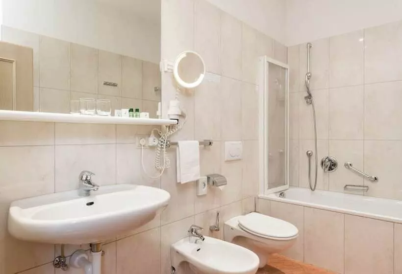 اتاق استاندارد یک نفره, Residence Hotel Gasser