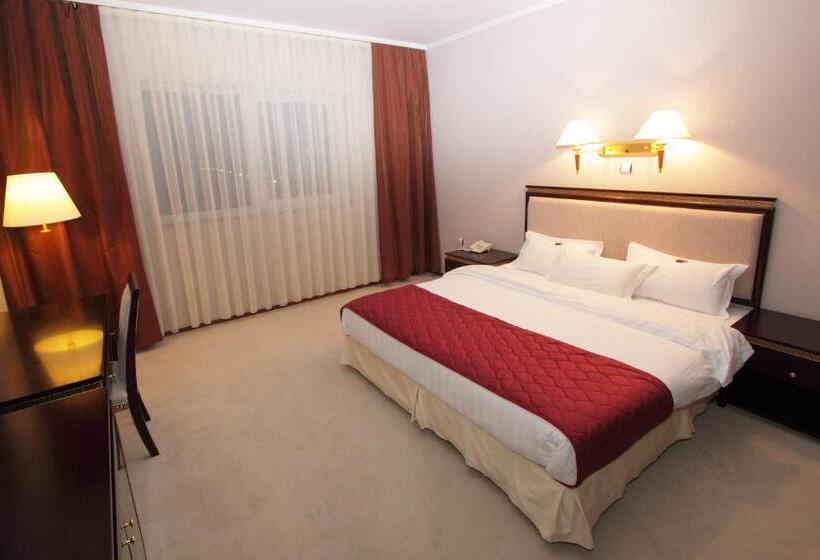 اتاق استاندارد با تخت بزرگ, Aquastar Danube