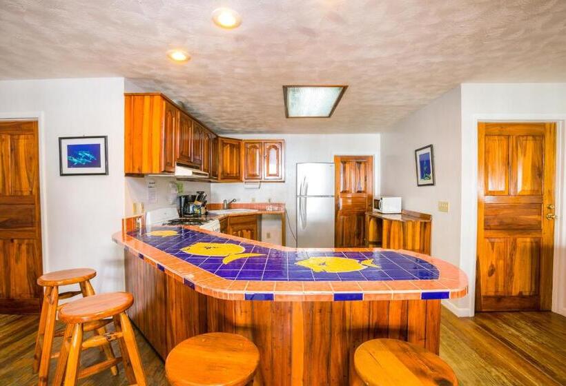 خانه 2 خوابه, Bananarama Dive & Beach Resort