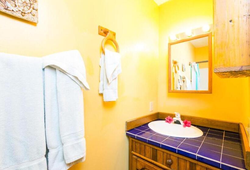 اتاق استاندارد, Bananarama Dive & Beach Resort