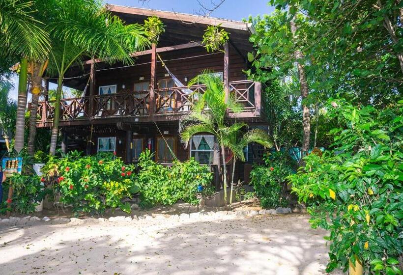 اتاق سوپریور, Bananarama Dive & Beach Resort