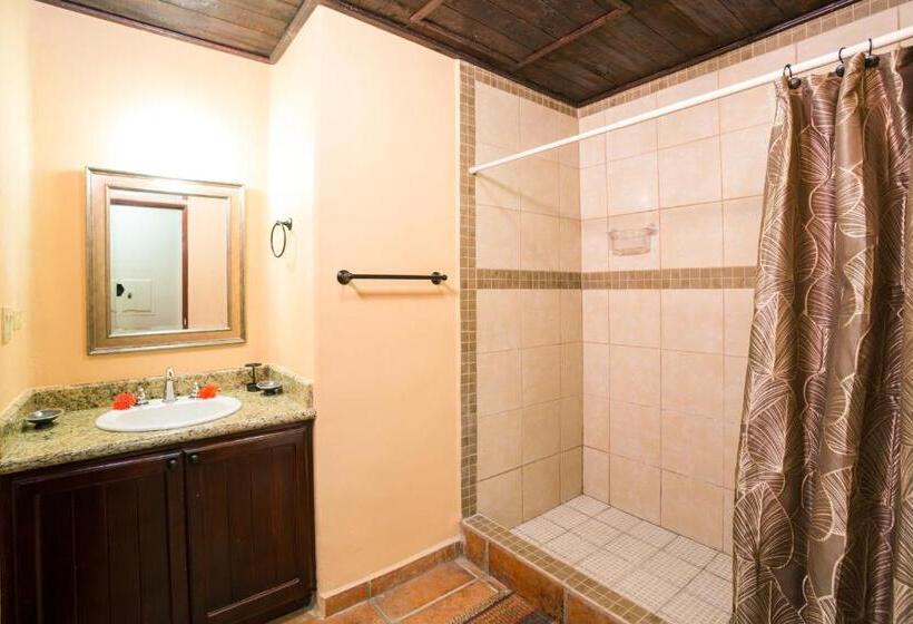 آپارتمان 1 خوابه, Bananarama Dive & Beach Resort