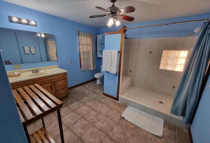 استودیو استاندارد با تخت کینگ, Bananarama Dive & Beach Resort