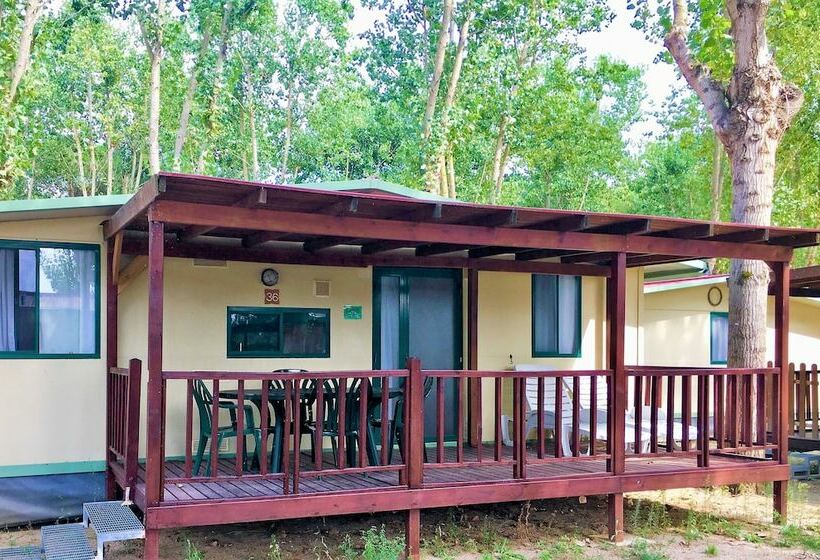 Дом 1 Спальня, Camping Village Punta Navaccia