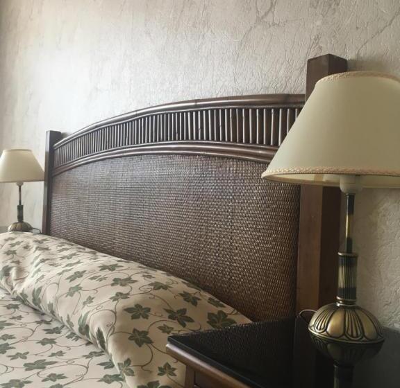 エコノミールーム, Drustar