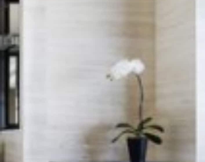 חדר סטנדרט, Grand Hyatt Shenyang