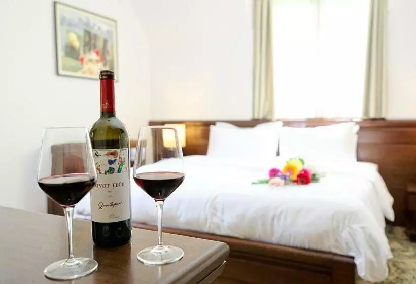 اتاق استاندارد با بالکن, & Spa Palić Resort