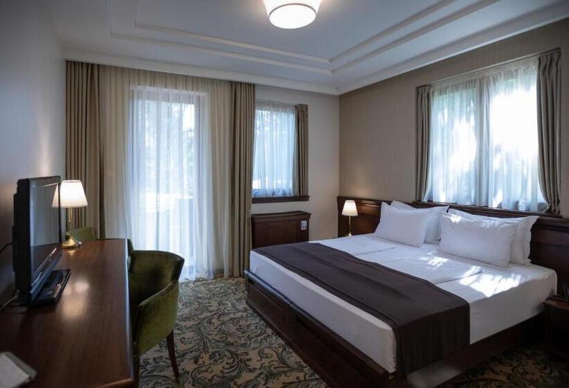 اتاق استاندارد با بالکن, & Spa Palić Resort