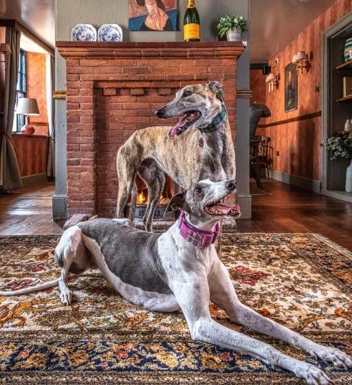 غرفة قياسية رباعية, The Feathers Holt