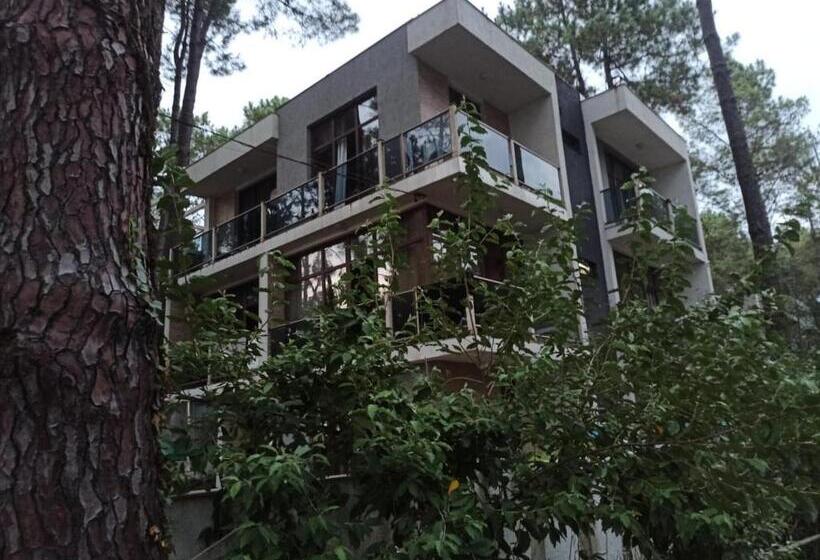 اتاق استاندارد, Kaprovani Kako