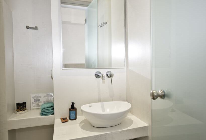 스탠다드 룸, Anessis