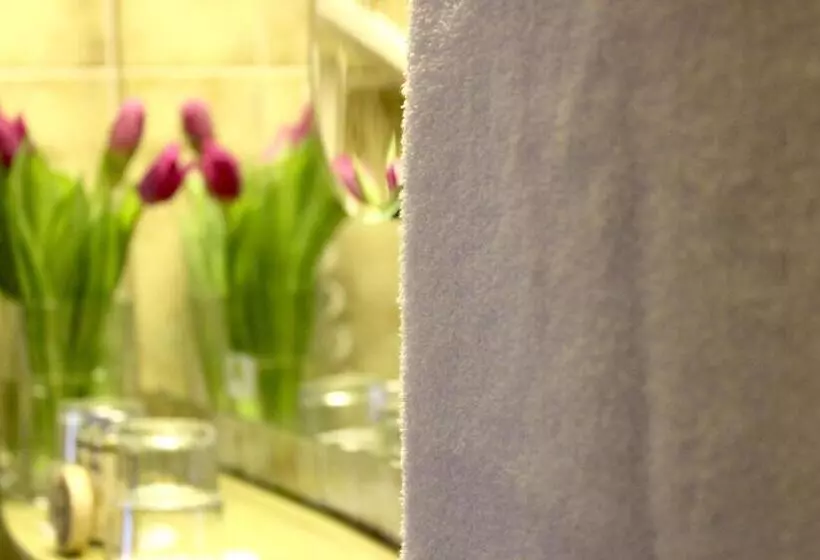 اتاق اکونومی یک تخته, City Hotel Würzburg