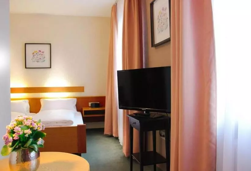 اتاق اکونومی, City Hotel Würzburg