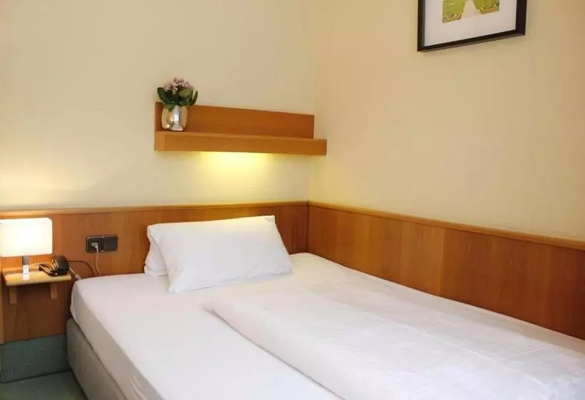 اتاق راحتی یک تخته, City Hotel Würzburg