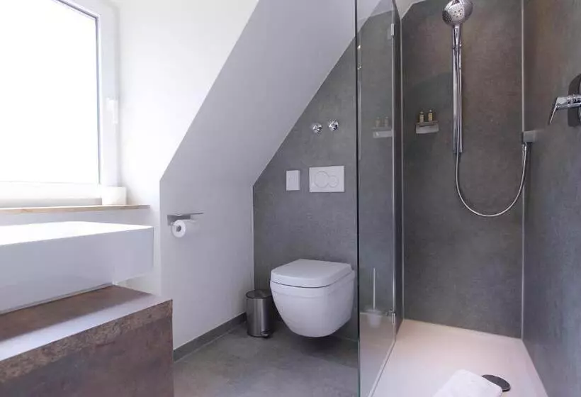 اتاق سوپریور یک تخته, City Hotel Würzburg