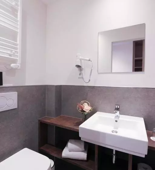 اتاق سوپریور یک تخته, City Hotel Würzburg