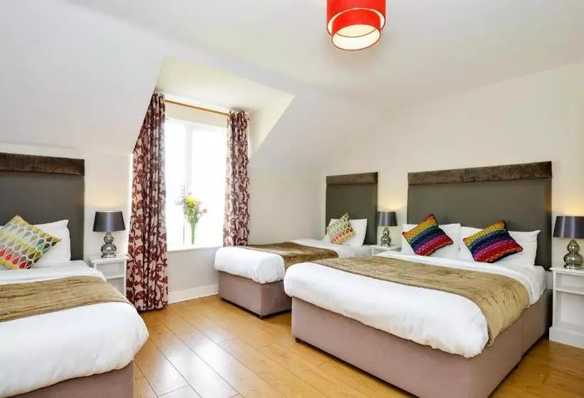 スタンダード４人部屋, Dingle Harbour Lodge B&b