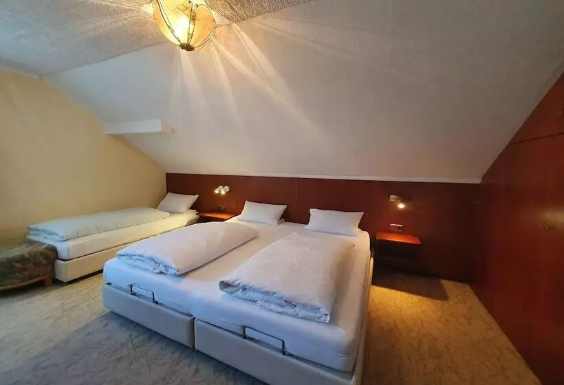 اتاق استاندارد سه نفره, Café Pension Sonnenkanzel