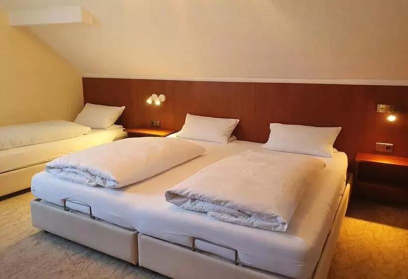 اتاق استاندارد سه نفره, Café Pension Sonnenkanzel