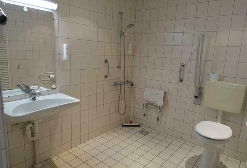 חדר סטנדרט מותאם לאדם עם מוגבלויות, De Koekoekshof