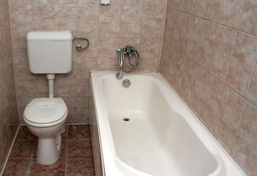 Süit, Pension Andronic