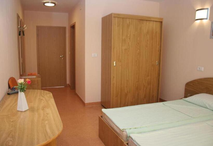 Standart Oda, Pension Andronic