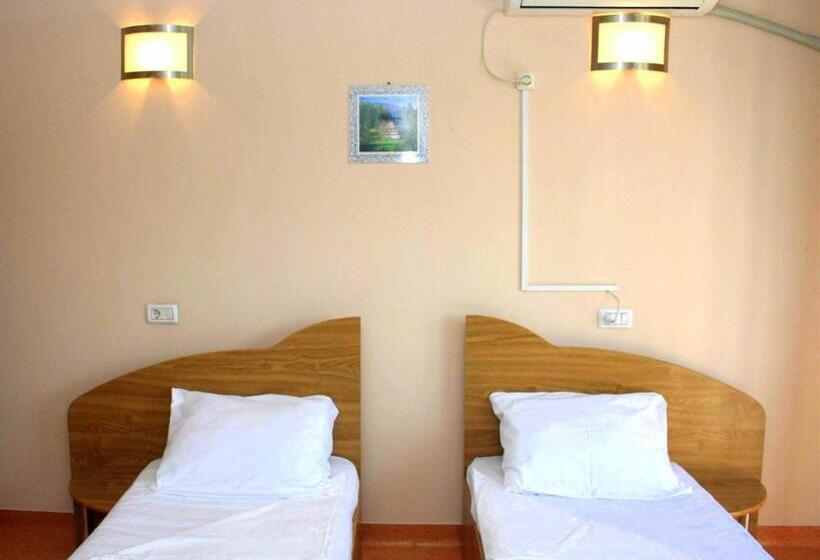 Standart Oda, Pension Andronic