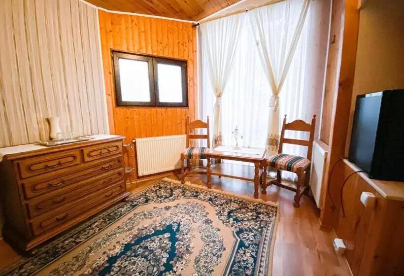 １階の１ベッドルームアパートメント, Pensiunea Crocus   Sauna & Billiard