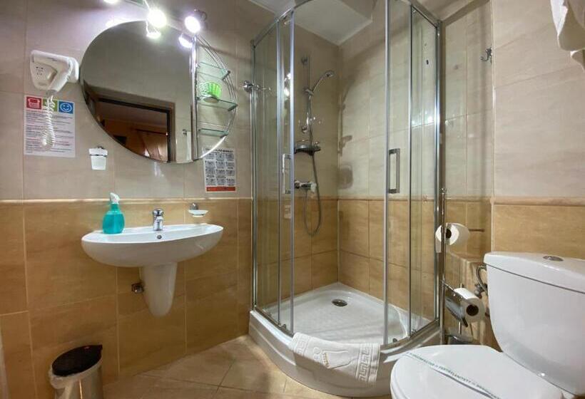 Номер Economy, Pensiunea Crocus Sauna & Billiard