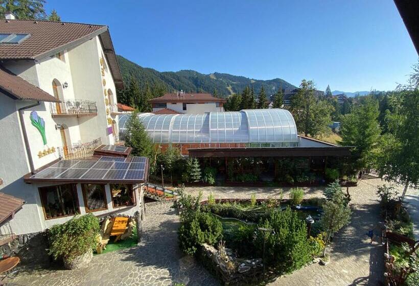 Family Suite, Pensiunea Crocus Sauna & Billiard