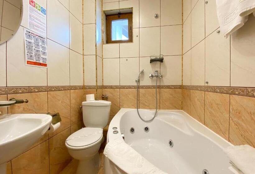 Люкс Вид на Горы, Pensiunea Crocus Sauna & Billiard