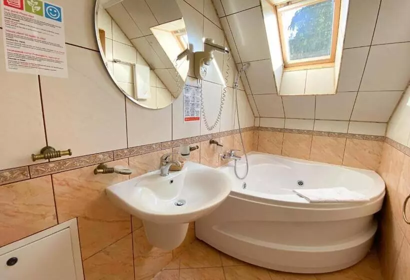 景色の見える一ベッドルームアパートメント, Pensiunea Crocus   Sauna & Billiard
