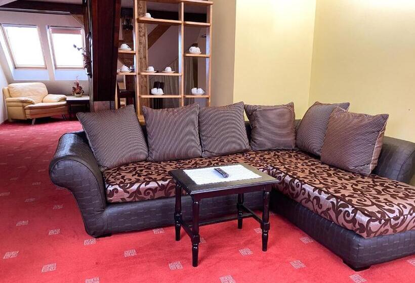 آپارتمان 1 خوابه با چشم‌انداز, Pensiunea Crocus   Sauna & Billiard