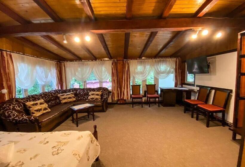 Номер Стандарт, Pensiunea Crocus Sauna & Billiard