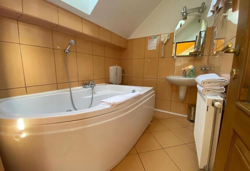 Вилла 1 Спальня, Pensiunea Crocus Sauna & Billiard