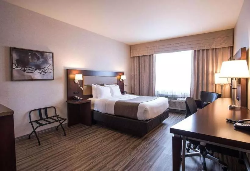 身障者適用スタンダードルーム, Quality Inn & Suites