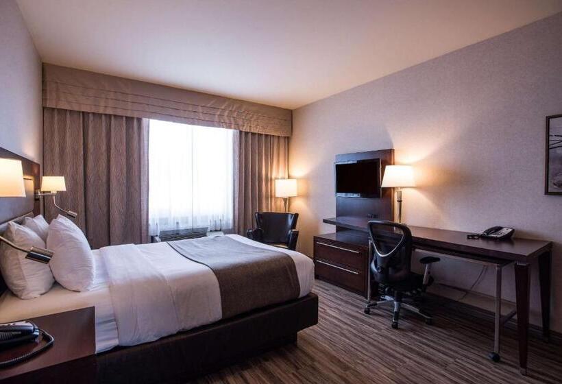 Номер Стандарт Адаптированный для Инвалидов, Quality Inn & Suites