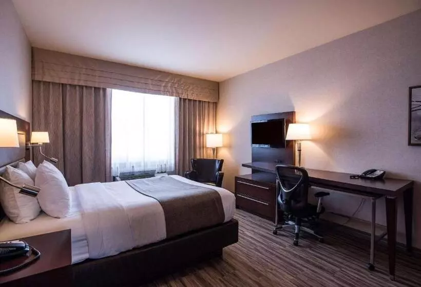 身障者適用スタンダードルーム, Quality Inn & Suites
