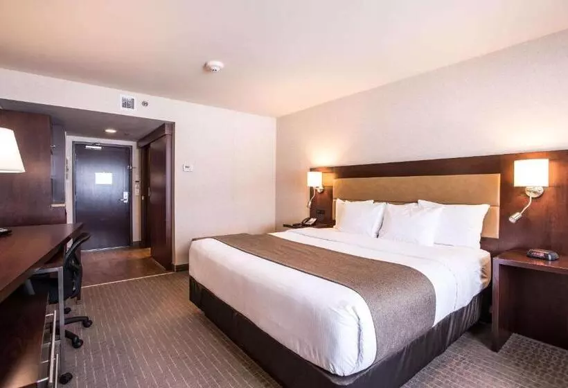 キングサイズベッドのスタンダードルーム, Quality Inn & Suites