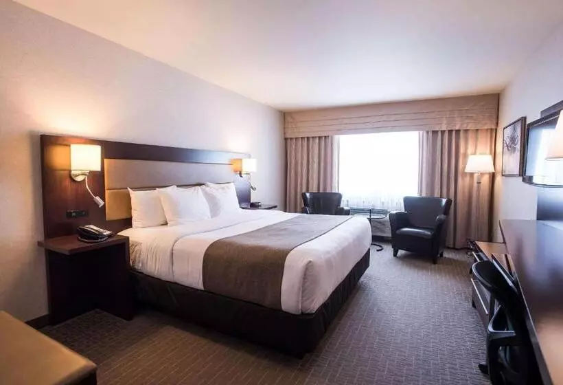 キングサイズベッドのスタンダードルーム, Quality Inn & Suites