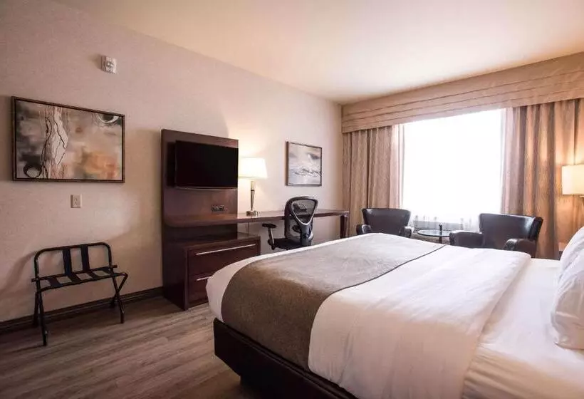 キングサイズベッドのスタンダードルーム, Quality Inn & Suites