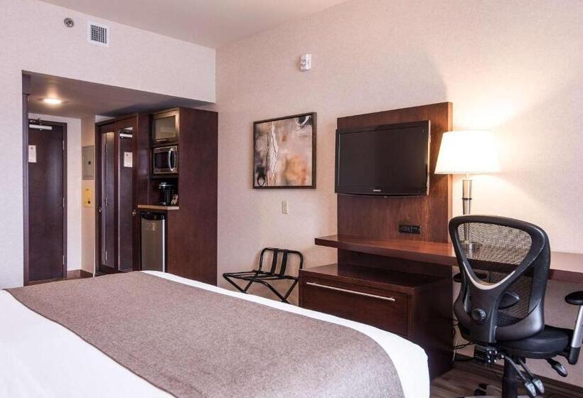 غرفة قياسية سرير كينج, Quality Inn & Suites