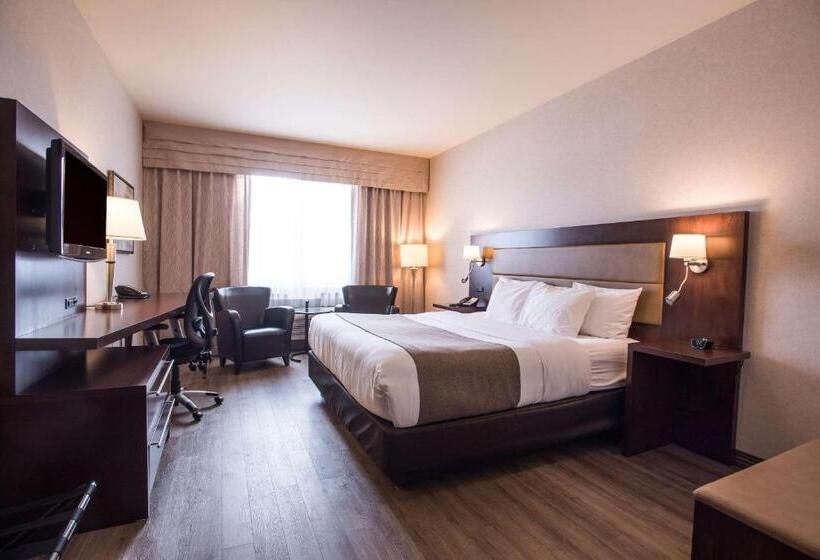 Стандартный Номер Кровать Кинг, Quality Inn & Suites