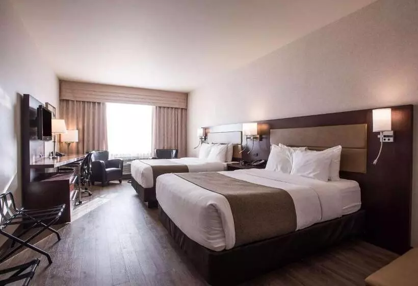 スタンダードルーム, Quality Inn & Suites